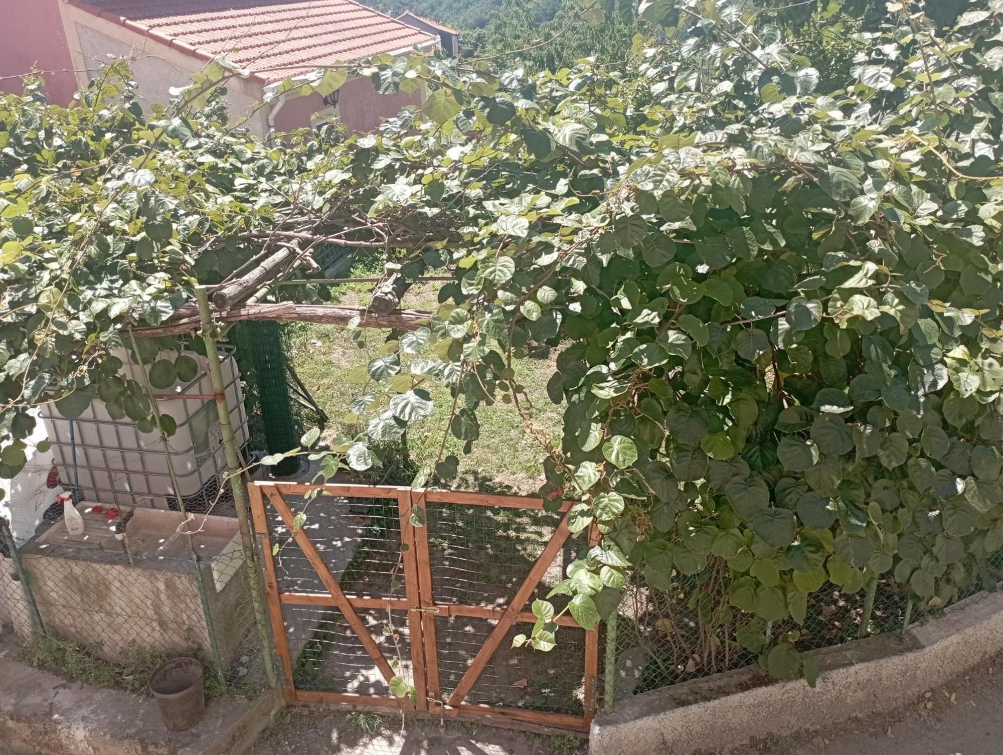 La Tana Della Volpetta - Bed & Breakfast Stella Zewnętrze zdjęcie